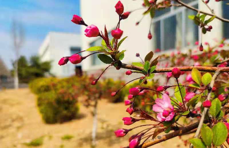 �������� ������E316 �������������������������������Ļ�����������������֦������һ����������������С���������졣���������������ط���Ī�����������������ҽ������ִ��硣������������.jpg