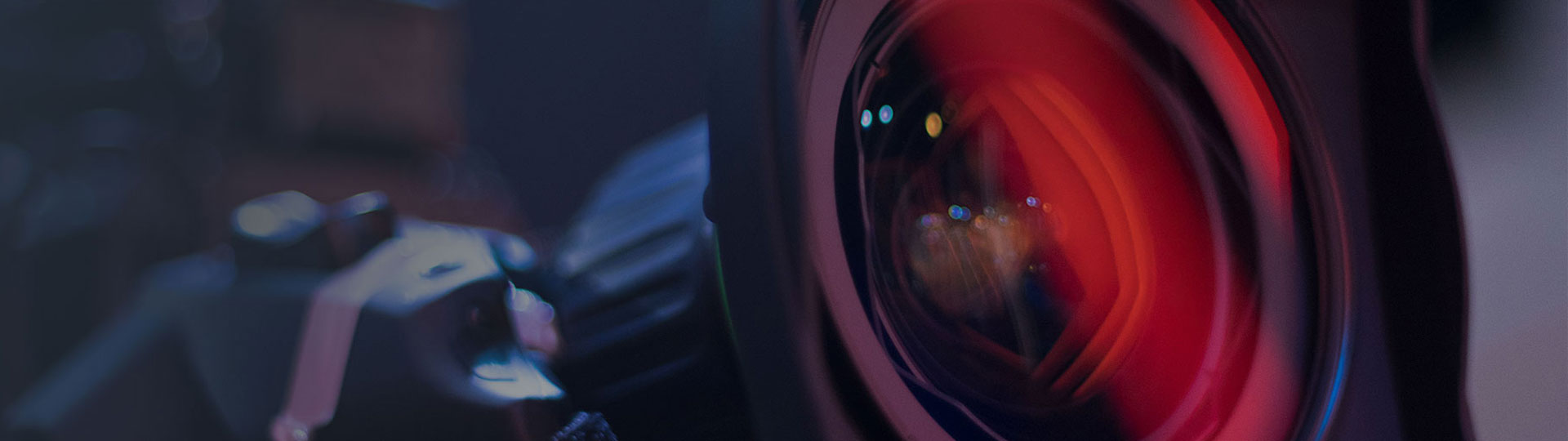 ��Ƶ����