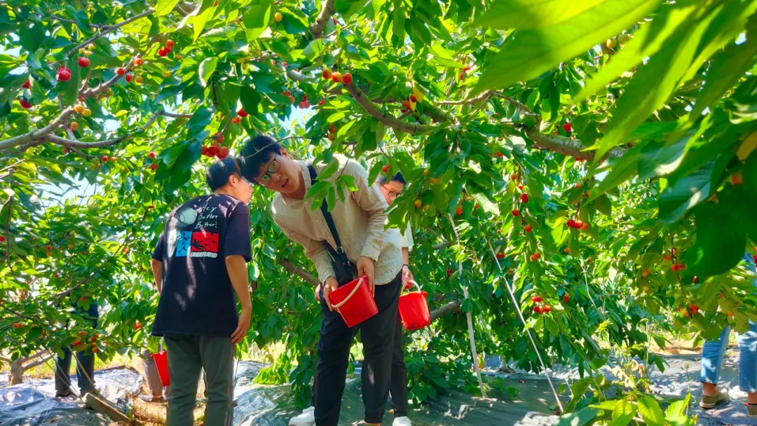 �������ʹ���-׷�󿵽�,����һ������