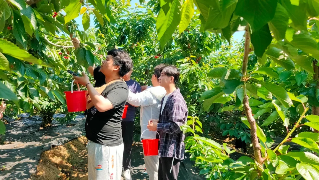 �������ʹ���-׷�󿵽�,����һ������